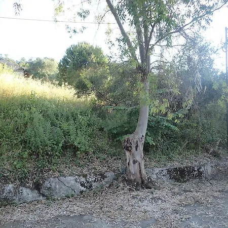 Σπίτι διακοπών Markos' Σιναράδες